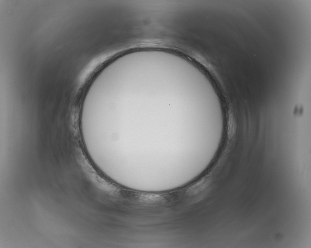 X0000112431454200909041425