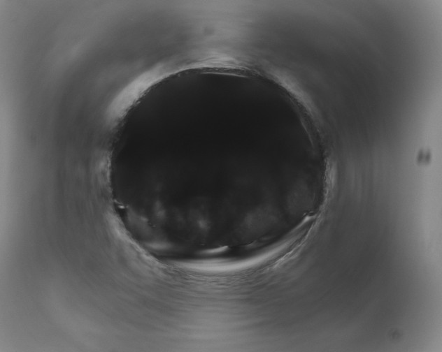 X0000112431455200909041425