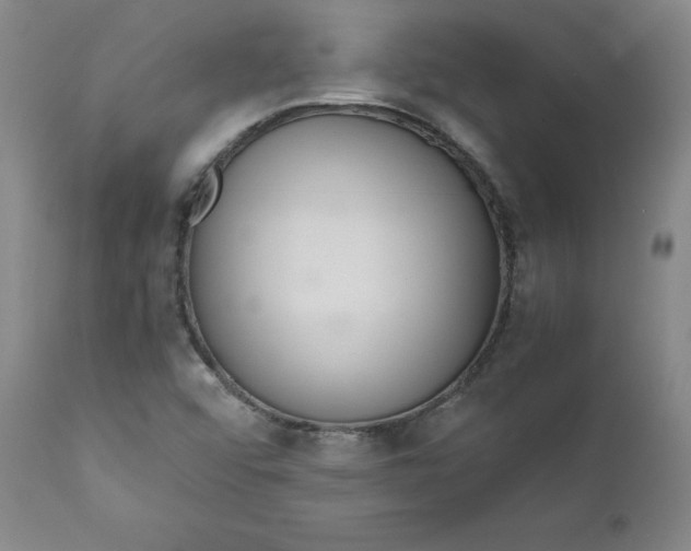 X0000112431456200909041425