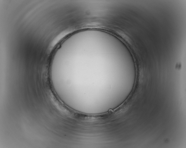 X0000112431458200909041425