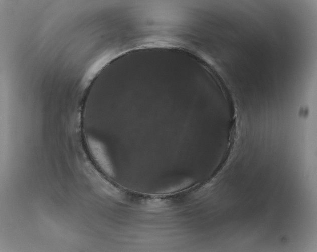 X0000112431459200909041425