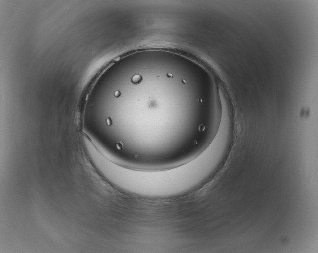 X0000112431461200909041425