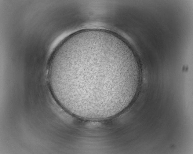 X0000112431462200909041425