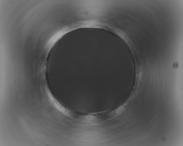 X0000112431463200909041425