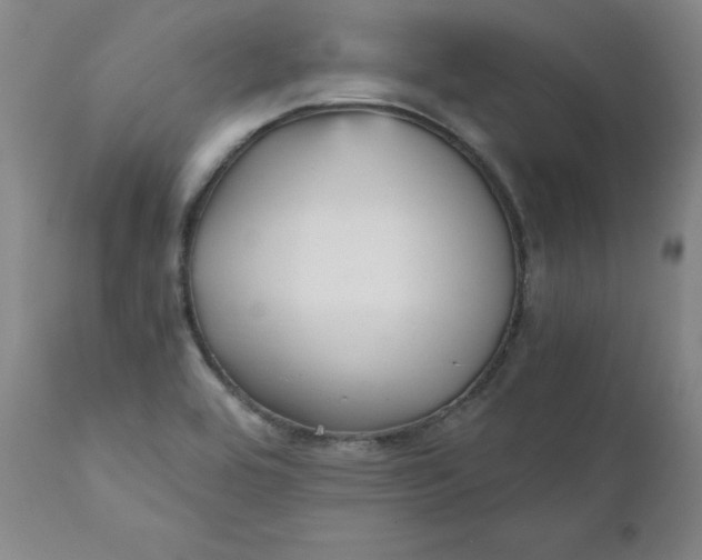 X0000112431464200909041425