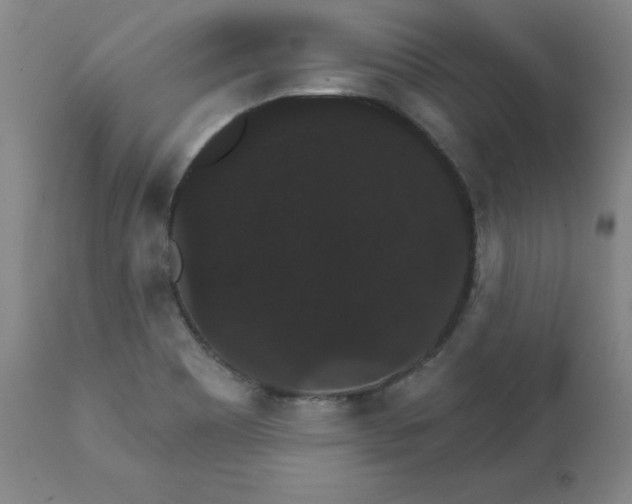 X0000112431465200909041425