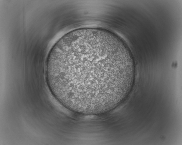 X0000112431467200909041425