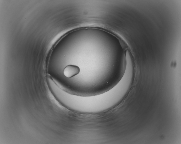 X0000112431468200909041425