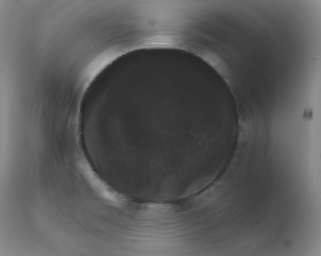 X0000112431469200909041425