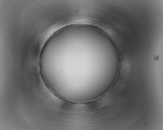 X0000112431470200909041425