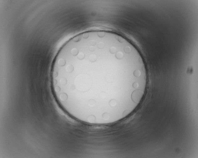 X0000112431471200909041425