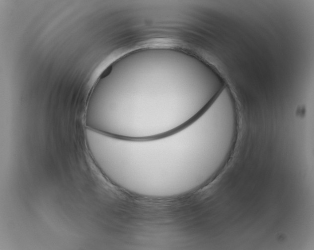 X0000112431473200909041425