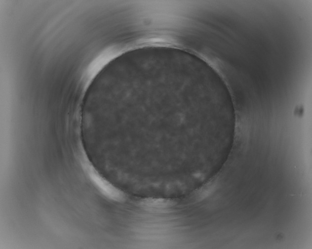 X0000112431474200909041425