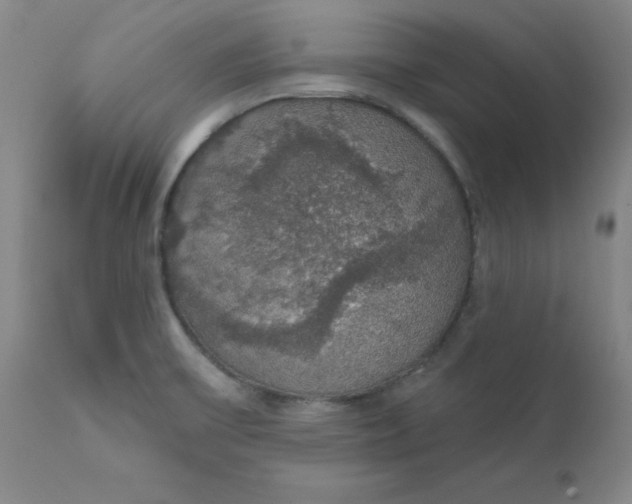 X0000112431475200909041424