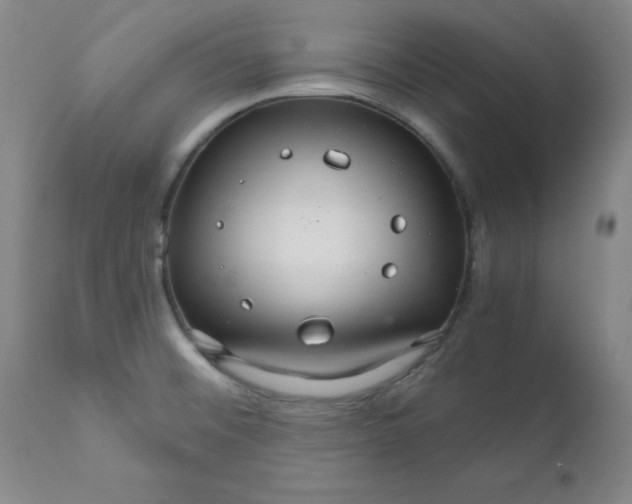 X0000112431476200909041424