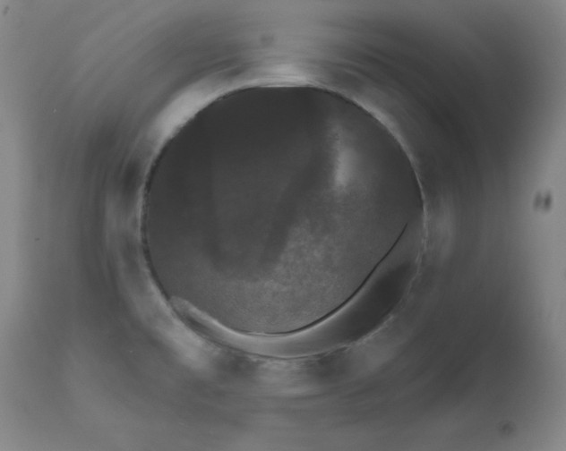 X0000112431477200909041424