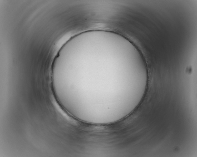 X0000112431479200909041424