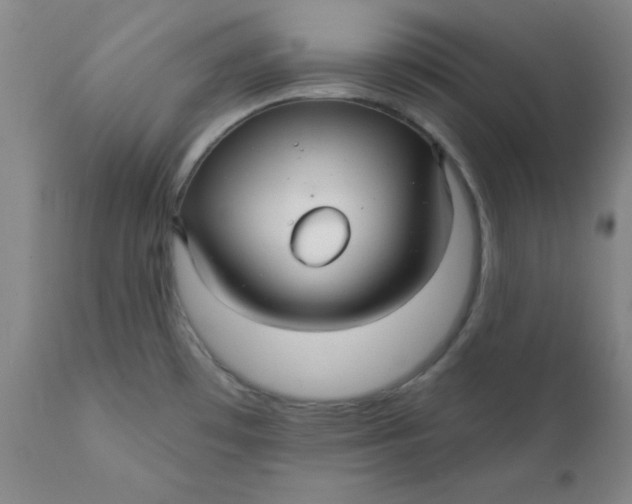 X0000112431481200909041424