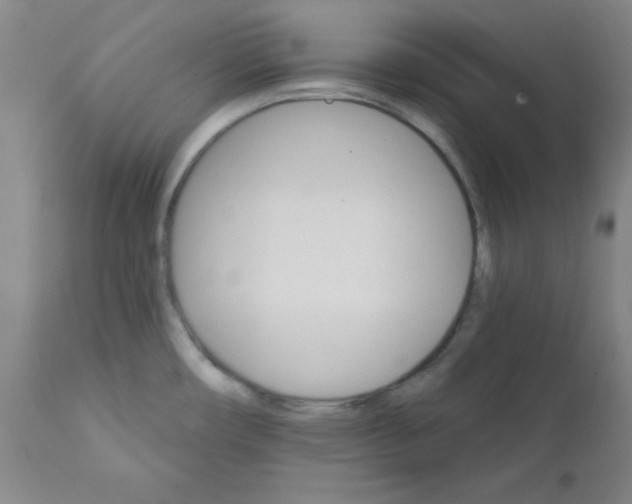 X0000112431482200909041424