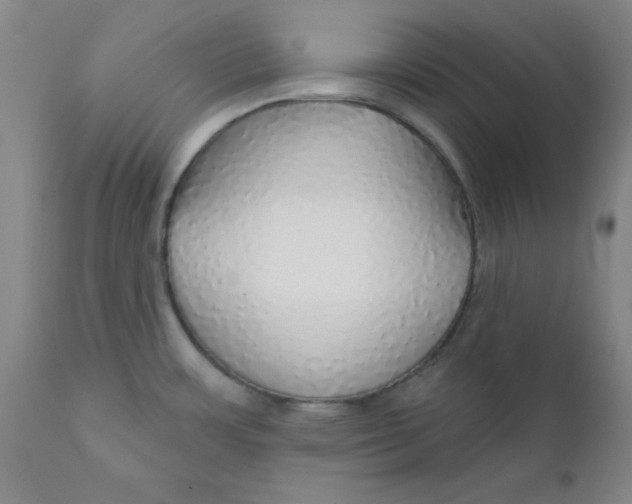 X0000112431483200909041424