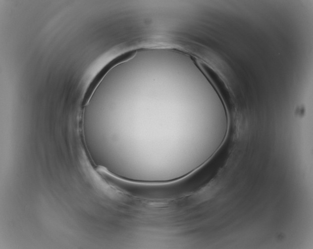 X0000112431484200909041424