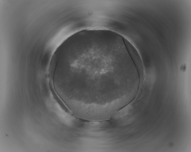 X0000112431485200909041424