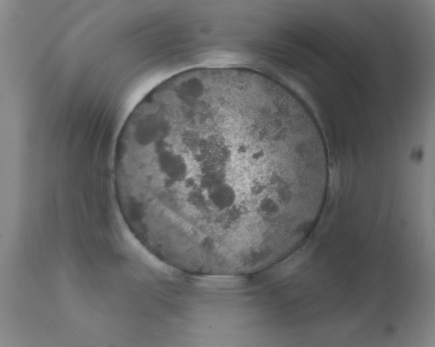 X0000112431487200909041424