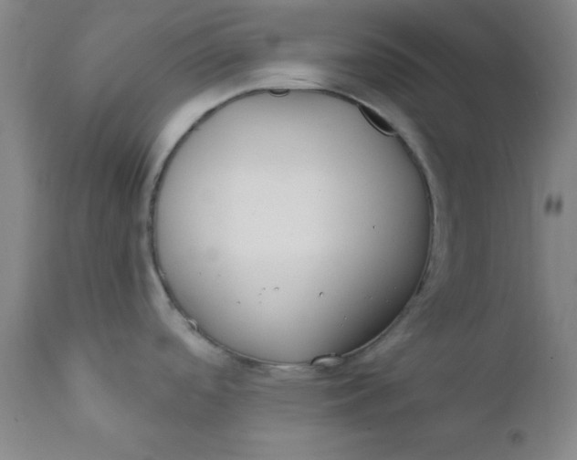 X0000112431488200909041424