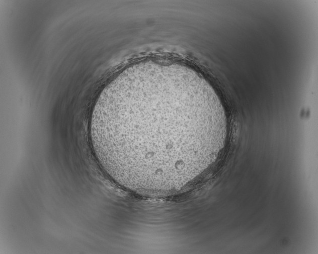 X0000112431489200909041423