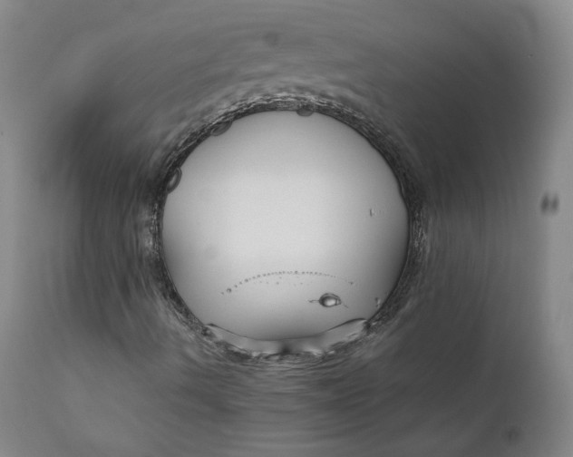 X0000112431490200909041423