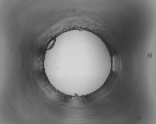 X0000112431491200909041424