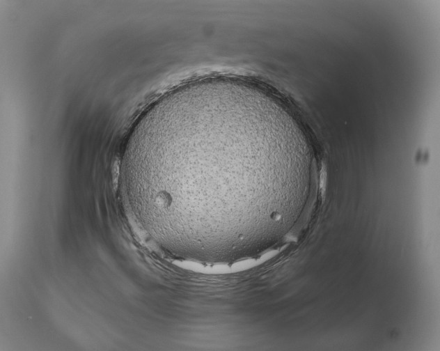 X0000112431492200909041424