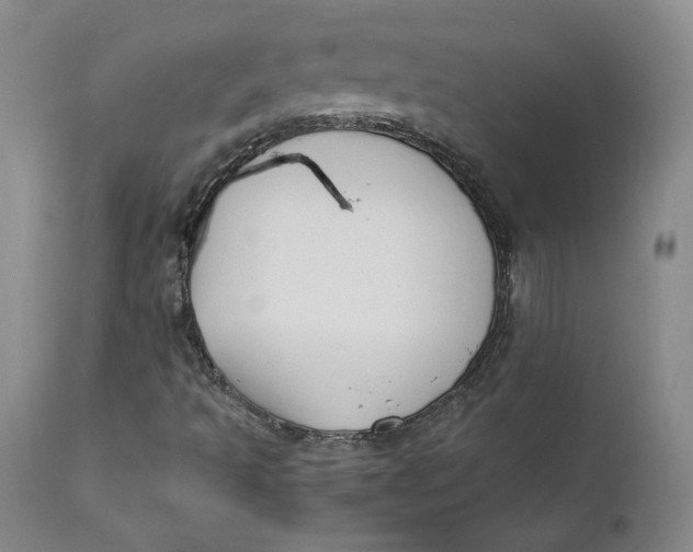 X0000112431493200909041424