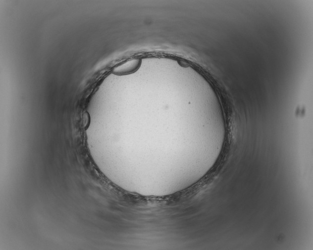 X0000112431494200909041424