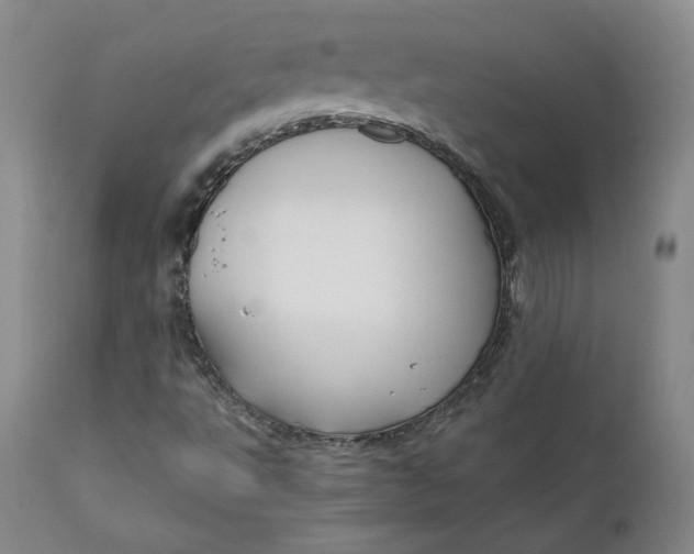 X0000112431495200909041424