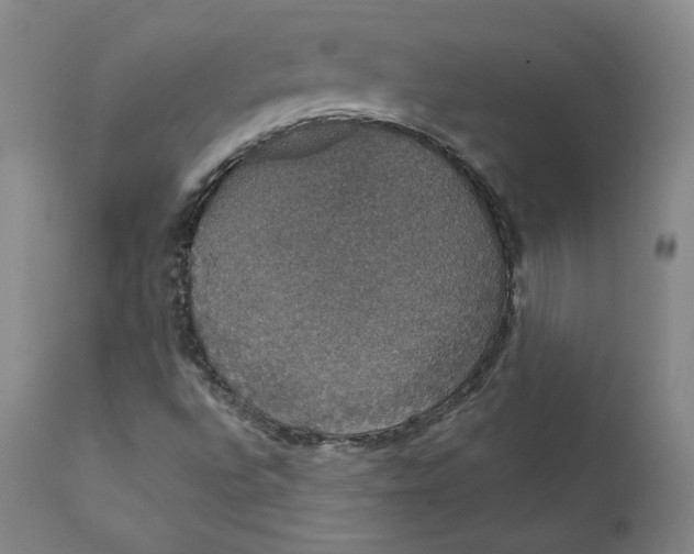 X0000112431496200909041424