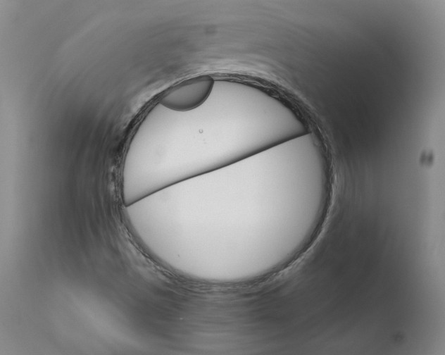 X0000112431497200909041424