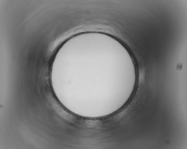 X0000112431498200909041424