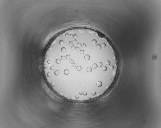 X0000112431499200909041424