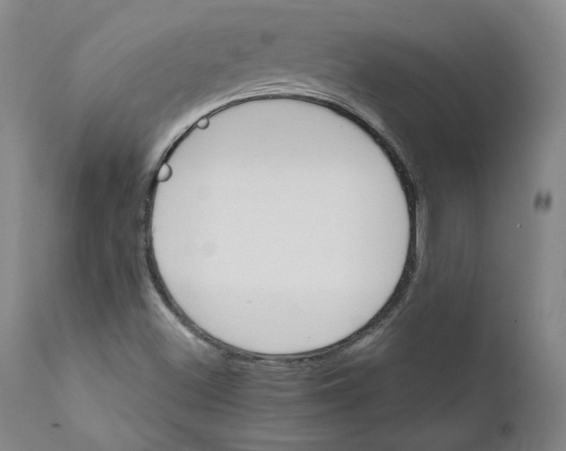 X0000112431500200909041424