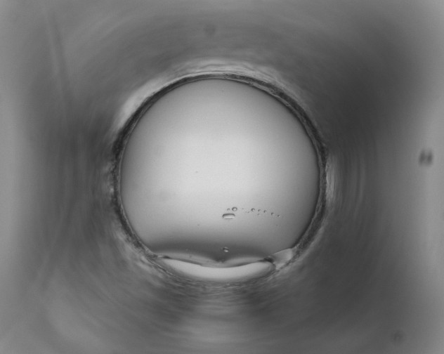 X0000112431501200909041424