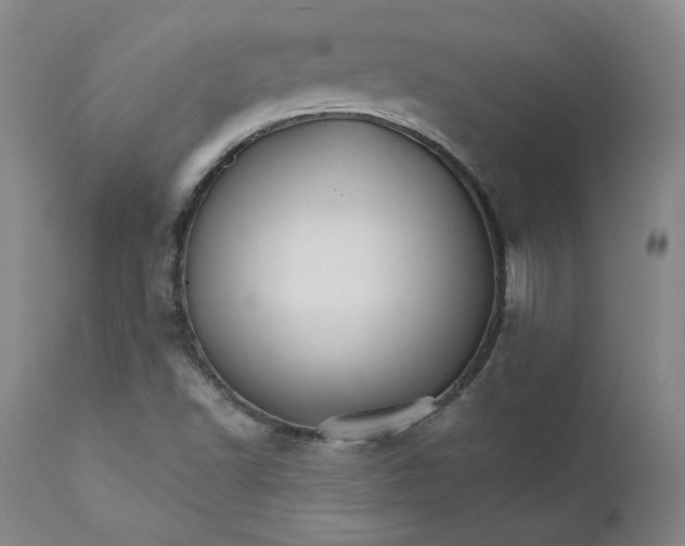 X0000112431502200909041424