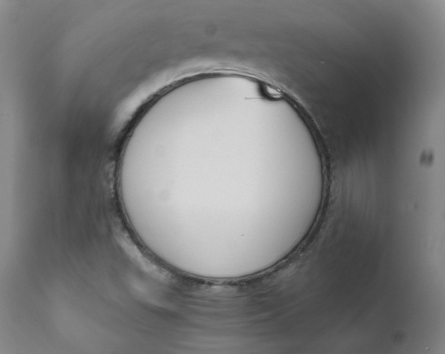 X0000112431503200909041424