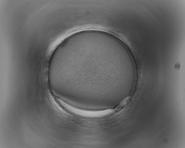 X0000112431504200909041424