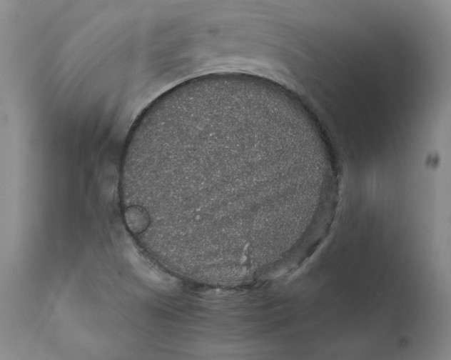 X0000112431505200909041424