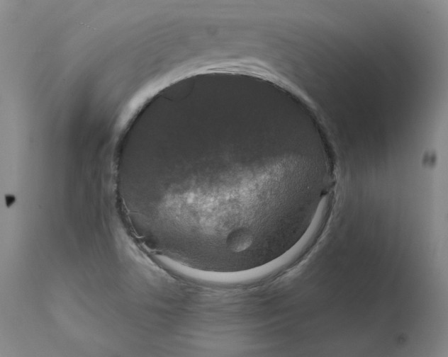 X0000112431506200909041424