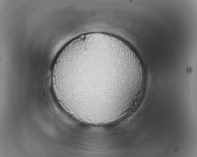 X0000112431509200909041424