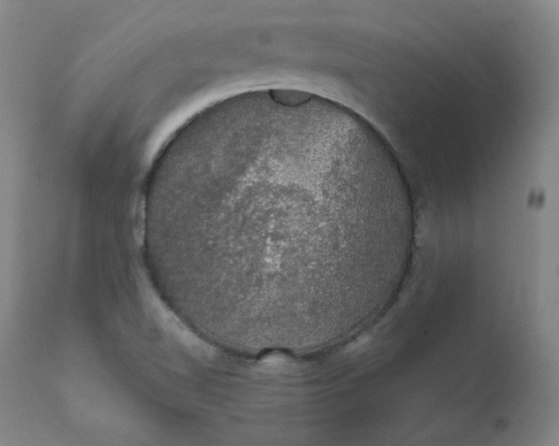 X0000112431510200909041424