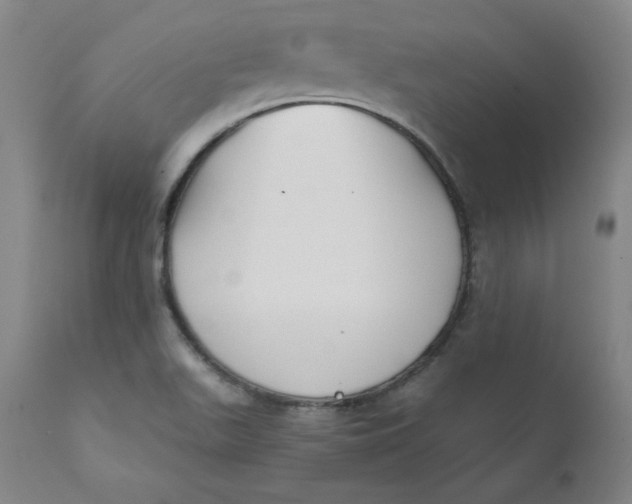 X0000112431511200909041424