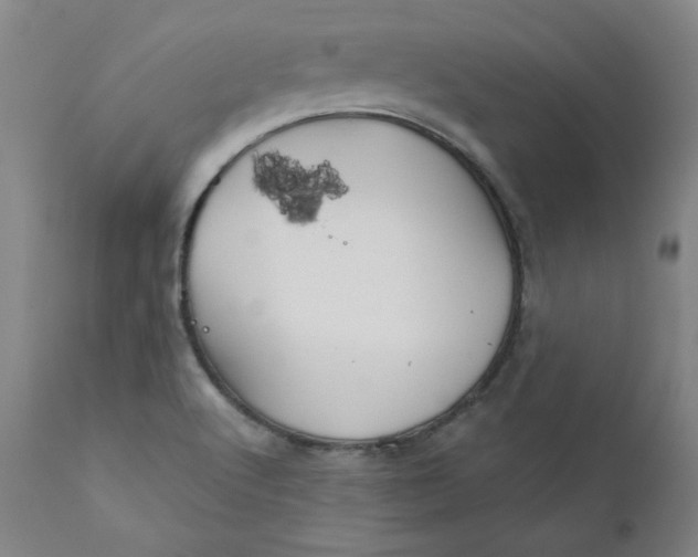 X0000112431512200909041424